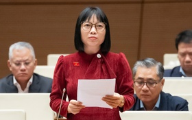 ĐBQH: Nhiều dự án số hóa đầu tư lớn nhưng hiệu quả thấp