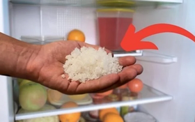Để nắm muối vào tủ lạnh, công dụng "vàng 10", ai nghe thấy cũng muốn làm thử