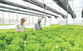 Thực phẩm Hồng Hà chi hàng chục tỷ đồng thâu tóm 2 công ty