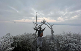 Dự báo thời tiết 13/12: Miền Bắc sắp đón không khí lạnh rất mạnh, nơi nào xuất hiện băng giá?