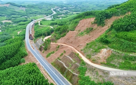 Nguyên nhân khiến nhiều vụ sạt lở nghiêm trọng xảy ra ở vùng cao trong mùa mưa lũ