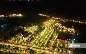 Nông dân Quảng Ngãi trắng đêm chong đèn, giữ ấm cho hoa Tết