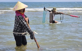 Ngư dân Hà Tĩnh cần mẫn “đi giật lùi” mưu sinh nơi cửa biển