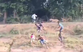 Báo dữ lao tới vồ ngã người đàn ông và diễn biến bất ngờ phía sau