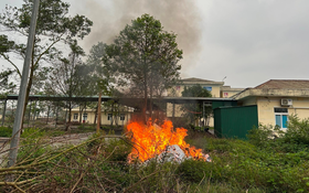 Hơn 7.000 hộp thuốc chữa bệnh không rõ nguồn gốc bị tiêu hủy