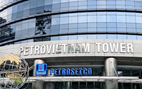 6 nhà đầu tư "tranh mua" 25 triệu cổ phiếu PET, vượt lượng chào bán của PVN