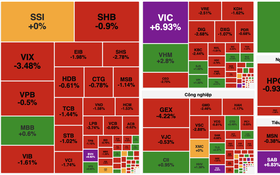 Sắc đỏ áp đảo toàn thị trường chứng khoán, cổ phiếu VIC tăng trần