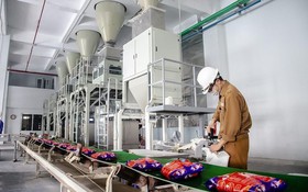 Cổ phiếu DGC của Hóa chất Đức Giang được kỳ vọng lấy lại mốc 100.000 đồng