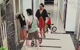 Sao họ hung hăng hung bạo thế?