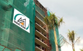 Thuduc House góp vốn lập công ty con, lấn sân sang bán buôn thực phẩm