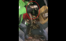 Đang nằm, người đàn ông sốc nặng khi phát hiện cảnh tượng "nổi da gà"