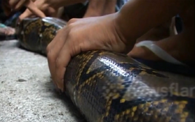 Nhìn ra ngoài đường, người dân thấy cảnh tượng "đáng sợ"