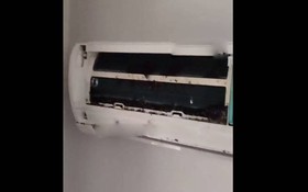 Điều hòa có mùi lạ, chủ nhà gọi thợ kiểm tra thì sốc nặng