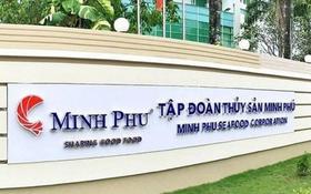 "Vua tôm" Minh Phú báo lãi quý II/2026 gần 195 tỷ đồng