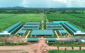 Thaco Agri của tỷ phú Trần Bá Dương được định giá gần 21.000 tỷ đồng