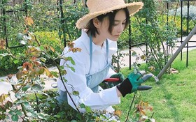 Bỏ lại hào quang Trương Hinh Dư đam mê làm vườn, hạnh phúc viên mãn bên soái ca quân nhân
