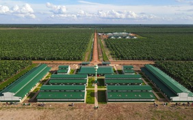 Thaco Agri báo lãi sụt giảm, nợ vay tăng vọt