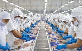 Vĩnh Hoàn bị phạt nặng
