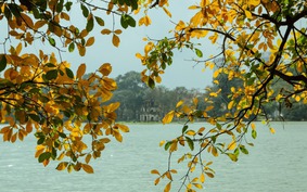 Độ trong của gió – khúc giao mùa Hà Nội