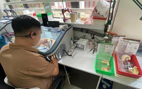 Hà Nội kiểm tra loạt cơ sở sản xuất, kinh doanh răng giả, xử phạt hơn 1,3 tỷ đồng