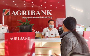 Agribank rao bán khoản nợ xấu hơn 360 tỷ đồng của 2 doanh nghiệp