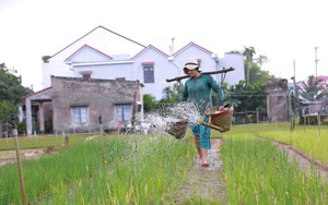 Hội nghị quốc tế về Du lịch nông thôn 2024: Quảng Nam là điểm đến toàn cầu