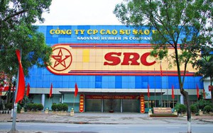 Cao su Sao Vàng lãi kỷ lục, nợ phải trả gấp 1,14 vốn chủ sở hữu