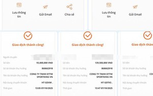 Tham gia nhóm pickleball trên mạng, một phụ nữ bị lừa 600 triệu đồng