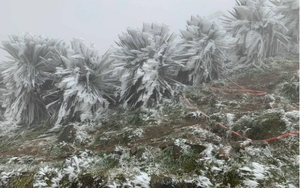 Dự báo thời tiết 4/2: Miền Bắc đón không khí lạnh dồn dập, trời rét đậm, sương mù bao phủ