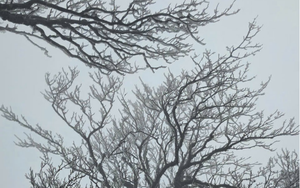 Miền Bắc liên tiếp đón không khí lạnh cường độ mạnh, trời rét đậm