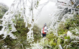 Dự báo thời tiết 5/2: Miền Bắc đón đợt không khí lạnh cực mạnh, dự báo khi nào rét đậm đạt đỉnh?