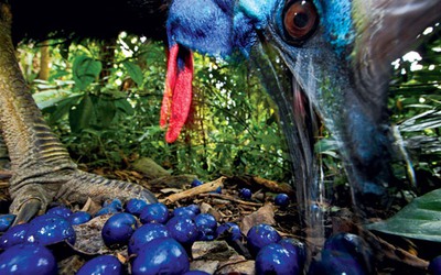 10 bức ảnh ấn tượng nhất năm 2013