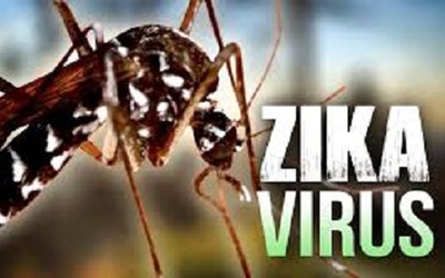 Bộ Y tế họp khẩn trước tình hình virus Zika có dấu hiệu lan rộng