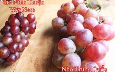 Mẹo hay phân biệt nho Việt và nho Trung Quốc, nho Mỹ