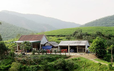 Người dân hoảng hồn đóng kín cửa khi đàn voi ‘viếng thăm’ trong đêm