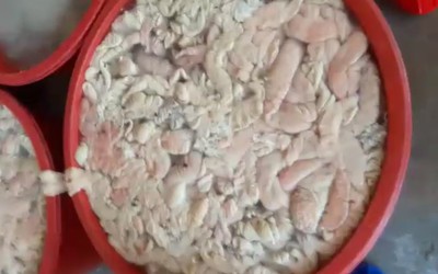 Kinh hãi phát hiện 1,4 tấn lòng heo thối đang được ngâm hóa chất tẩy