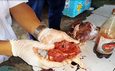 Bình Dương: Cảnh giác khi mua thực phẩm đông lạnh ở chợ