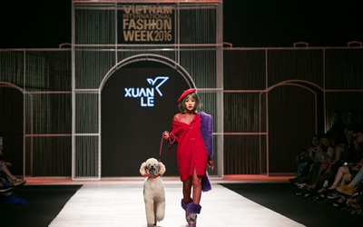 Chi Pu dắt cún đi dạo trên sàn catwalk Tuần lễ thời trang