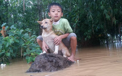 Cậu bé ôm chú chó giữa dòng lũ dữ Quảng Bình gây ám ảnh nhất tuần