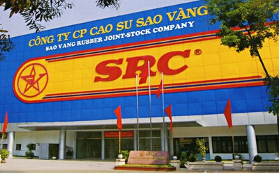 Cao su Sao Vàng trả cổ tức tiền tỷ trước khi chia tay Thủ đô