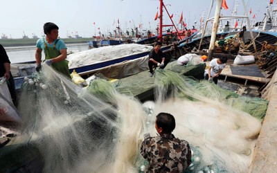 Hé lộ điều tra tàu cá Trung Quốc hủy diệt hệ sinh thái biển thế giới