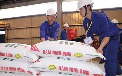 Yêu cầu kiểm điểm sếp Vinachem vì sai phạm tại dự án đạm Ninh Bình