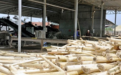 Nữ công nhân mất tích và mẫu xương lạ được phát hiện tại máy nghiền