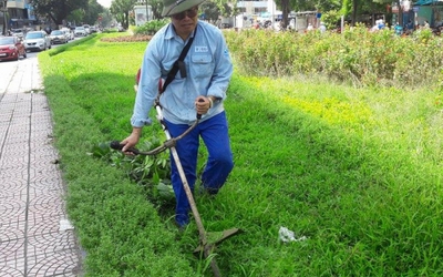 Hà Nội sẽ cắt cỏ 18 lần mỗi năm với giá bất ngờ