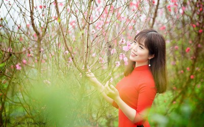 Dự báo thời tiết: Miền Bắc đón Valentine trong ấm áp