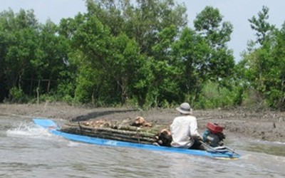 Chỉ đạo xử lý vụ lâm tặc dùng vỏ máy tông cán bộ quản lý rừng