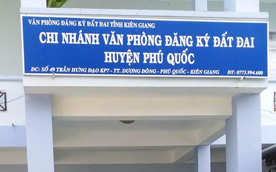 Kế toán tham ô, tiếp viên buôn lậu vàng: Bao nhiêu là ‘đủ’?