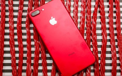 Nữ sinh liều lĩnh bán trứng của mình để mua iPhone 7 Plus