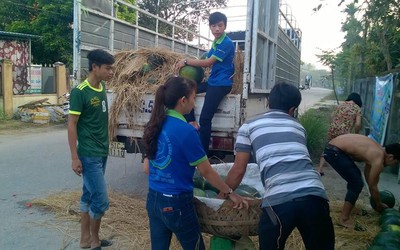 ‘Giải cứu’ dưa hấu thất thu: ‘Lòng tốt không thể ăn mãi được’