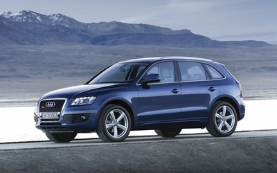 Triệu hồi 2.340 xe Audi Q5 do liên quan tới lỗi cửa sổ trời